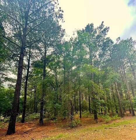 24 High Point Court, Broken Bow, OK 74728