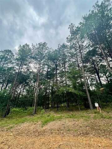 32 Upper Vista Ridge Trail, Broken Bow, OK 74728