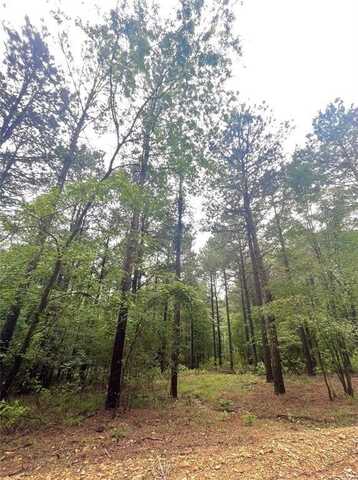 29 Upper Vista Ridge Trail, Broken Bow, OK 74728