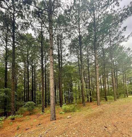 31 Upper Vista Ridge Trail, Broken Bow, OK 74728