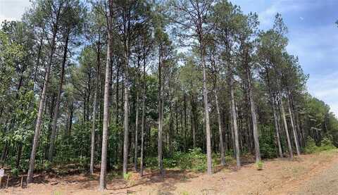 38 Pine Crest Court, Broken Bow, OK 74728