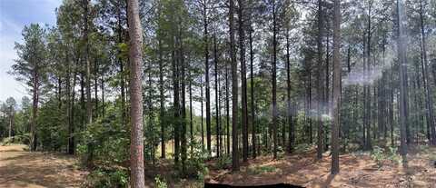 51 Pine Crest Court, Broken Bow, OK 74728