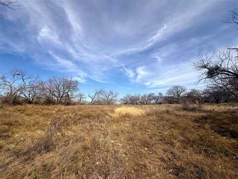 Tbd 10.02 Acres County Road 164, Eastland, TX 76448