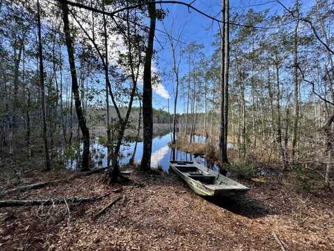 0 John Johnston Road, Citronelle, AL 36522