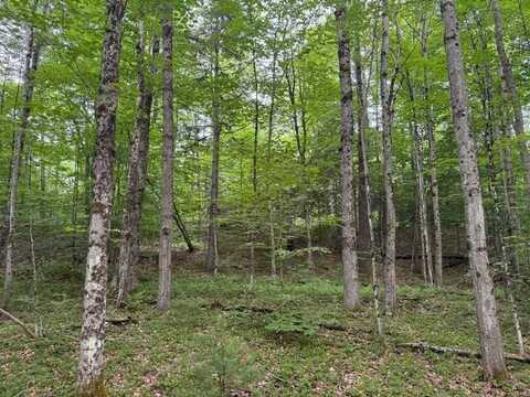 1.1 Dutch Hill Rd. Spur, Cincinnatus, NY 13040