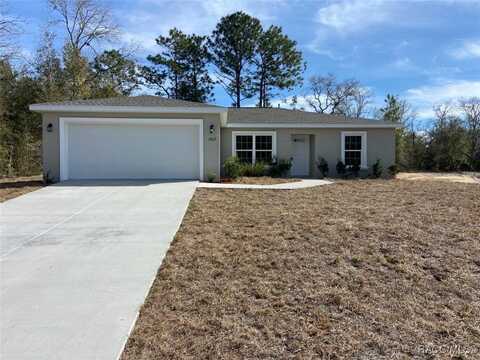 10217 N Halsey Way, Dunnellon, FL 34434