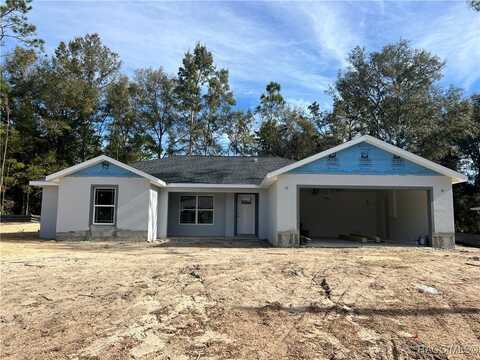 10077 N Langdon Road, Citrus Springs, FL 34434