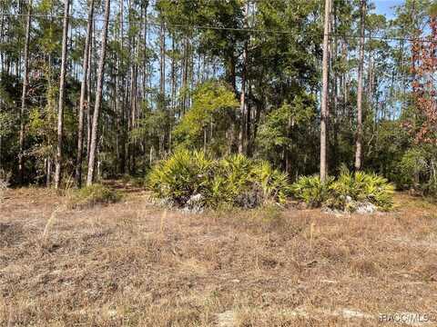 Lot 23 SW Tiger Lake Boulevard W, Dunnellon, FL 34431