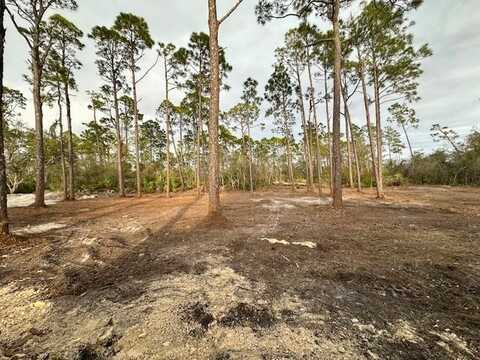 Lot 12 Watermark Way, Port Saint Joe, FL 32456