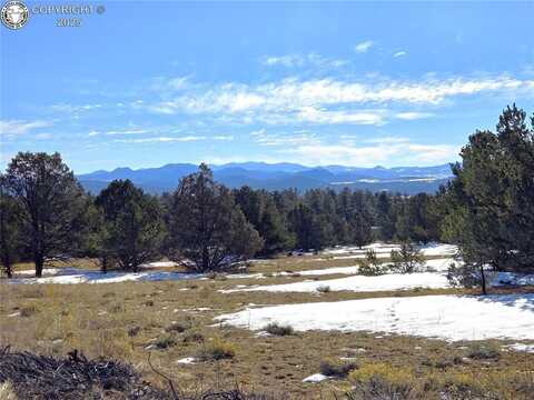 Tbd 31st Trail, Cotopaxi, CO 81223