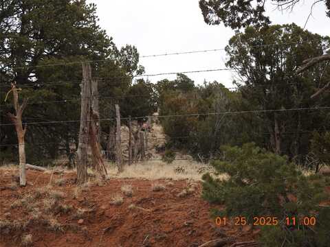 Tract A-1 CR B29A, Villanueva, NM 87583