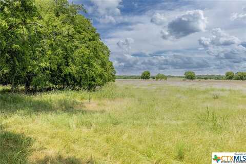 Tbd Goodwin Road, Gonzales, TX 78629