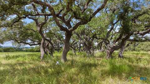 Lot 1 Legacy Hills Drive, Johnson City, TX 78636