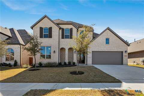 412 Texon Drive, Liberty Hill, TX 78642