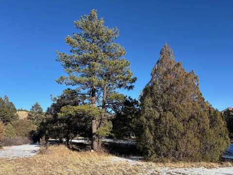 29655 HWY 64, Ute Park, NM 87749