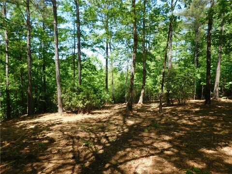 392 Cliffs S Parkway, Salem, SC 29676