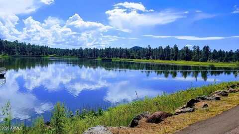 1986 S Woodland Lane, Pinetop, AZ 85935