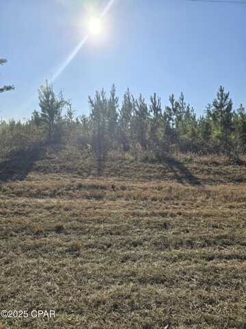 TBD Lot 2 Peanut Road, Cottondale, FL 32431