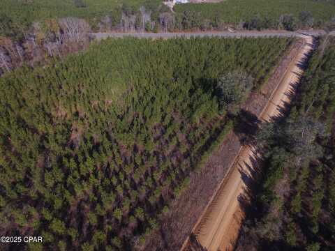 TBD Lot 1 Peanut Road, Cottondale, FL 32431
