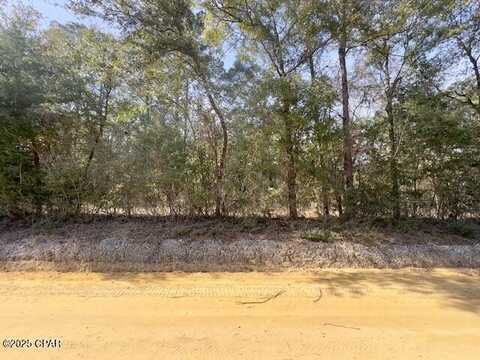 Bryant Bay Road, Caryville, FL 32427