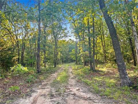 Twin Logs Lane, Edwards, MO 65326