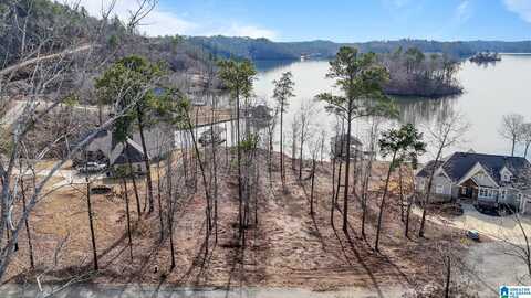 2147 EAGLE MOUNTAIN ROAD, ROCKFORD, AL 35136