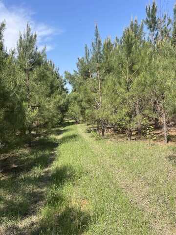 undefined, Doddridge, AR 71834