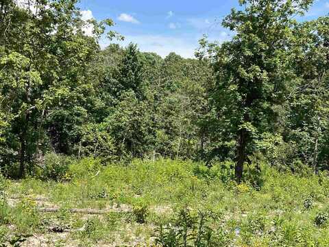 Lot 45 PR Ridge Haven, Mammoth Spring, AR 72554