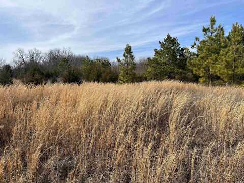 TBD Industrial Road, Mena, AR 71953