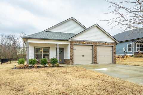 834 Ferrymans Way, Chattanooga, TN 37419