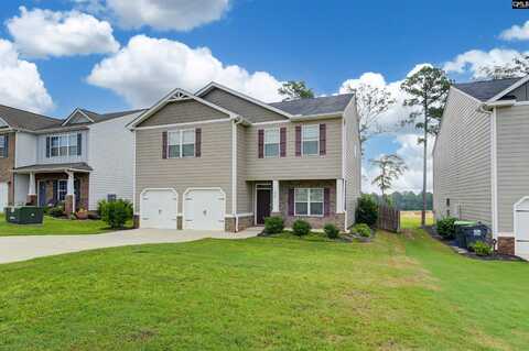 1228 Cypress Valley Drive, Chapin, SC 29036