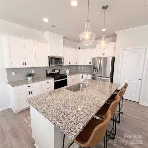 19117 Hawk Haven Lane, Charlotte, NC 28278