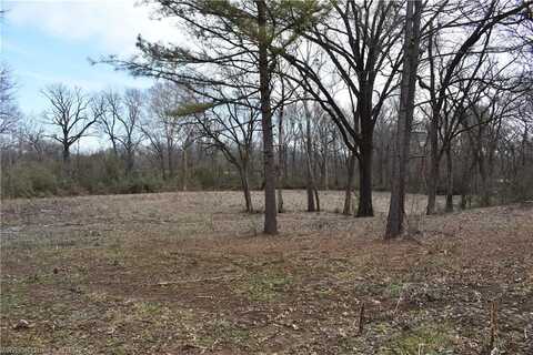 TBD S 217 HWY, Booneville, AR 72927