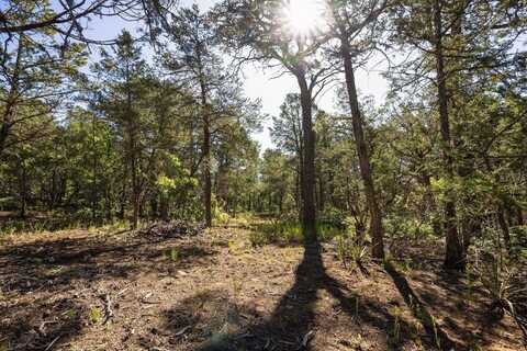 80 WHISPERING PINES Road, Tijeras, NM 87059