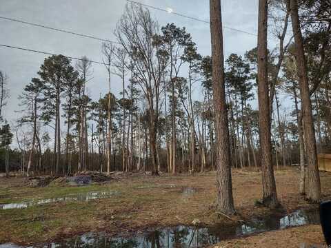 35220 La Hwy 441, Holden, LA 70744