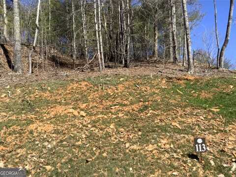 113 High River, Ellijay, GA 30540
