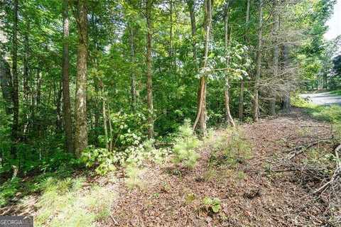 0 Old Miller Rock, Ellijay, GA 30540