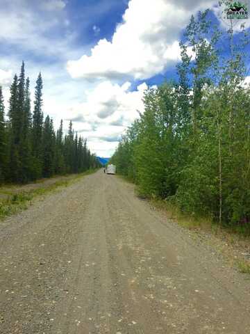 NHN SOURDOUGH LANE, TOK, AK 99780