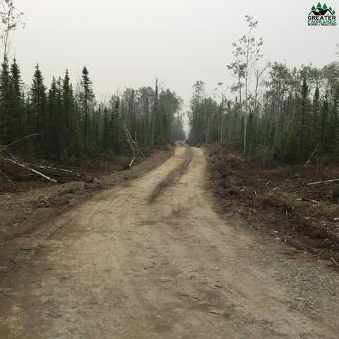 NHN ELLIOTT HIGHWAY, Manley, AK 99756