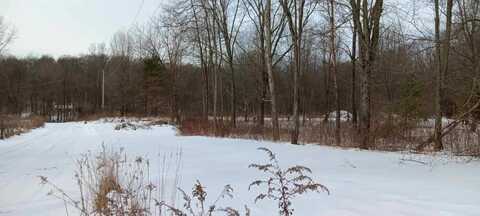 Vl Secluded Acres Drive, Hastings, MI 49058