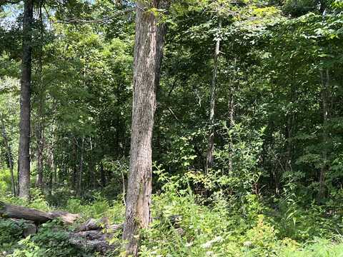 Lot 45 Pr Ridge Haven, Mammoth, MO 72554
