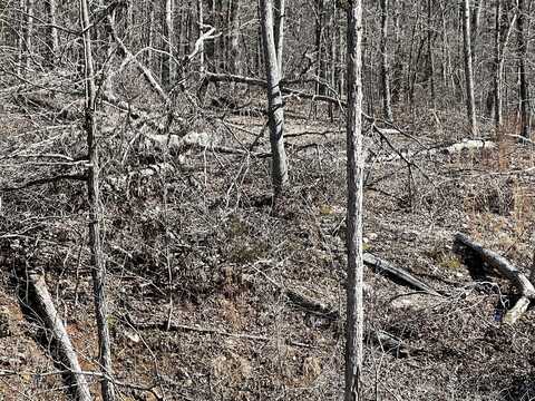 Lot 45 Pr Ridge Haven, Mammoth, MO 72554