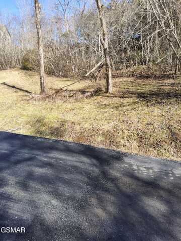Ivy Way, Newport, TN 37821