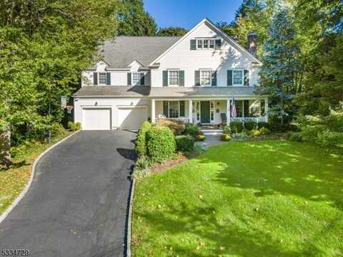 45 Valley View Ave, Summit, NJ 07901