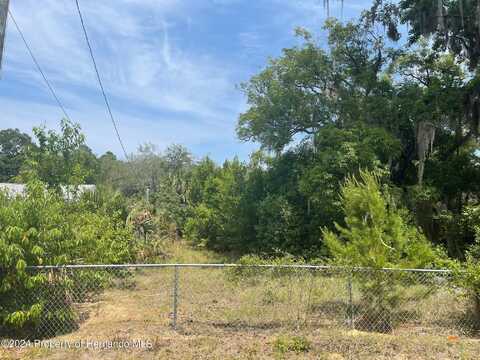 5180 PACIFIC Avenue, Weeki Wachee, FL 34607