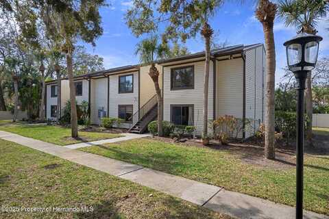 314 Moorings Cove Drive, Tarpon Springs, FL 34689