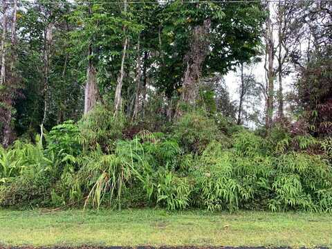 LAI ST, Pahoa, HI 96778