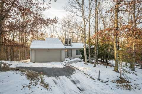 2980 LANIER LN, MCGAHEYSVILLE, VA 22840