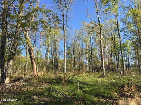 Bench Rd. 34.97 Acres, Pikeville, TN 37367