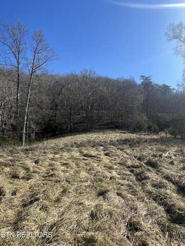 0 W Brushy Valley Drive, Powell, TN 37849